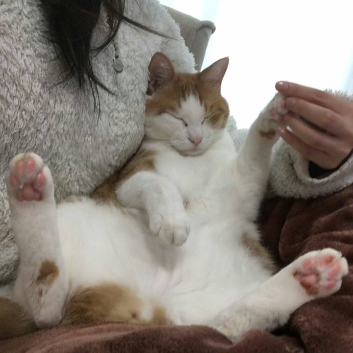 3b7cdc17 b7bd 4c34 88be 204b22aef44c 1508023905282