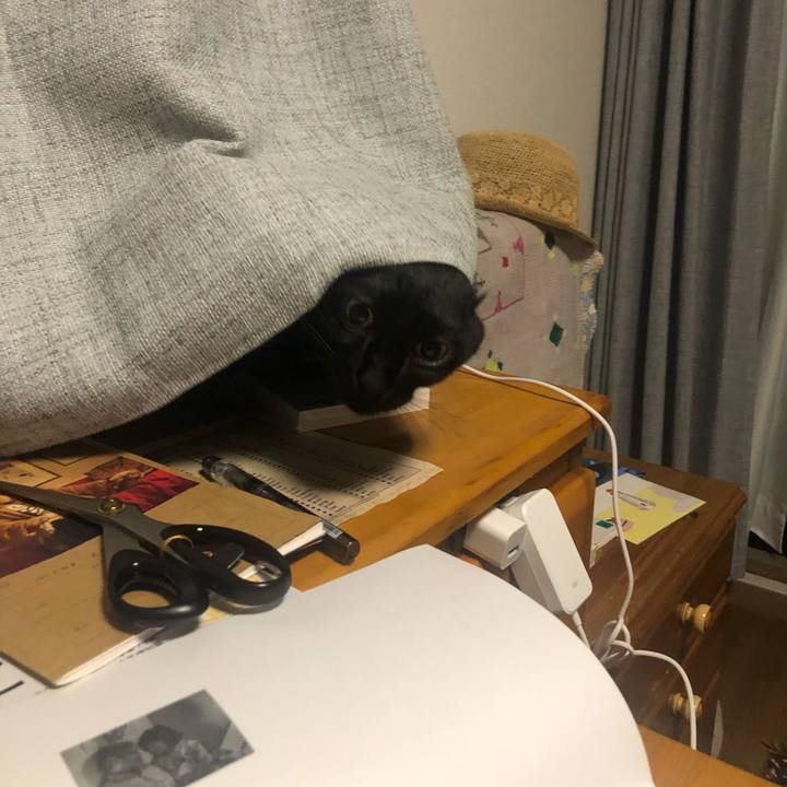 3b7ce140 a52d 47bf bad4 3ea6ce75bd32 1657892331744