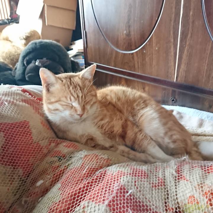 3b7d06d6 d8e8 4d76 b0fd 9c22b19efba6 1585439428647