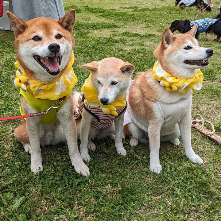 3b7d1592 579a 4940 b4d3 3fe210c29574 1717981253374