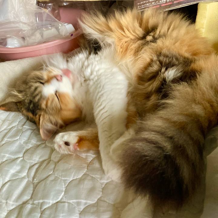 3b7d532e 8664 4a83 a659 1d1cc018e59c 1719448254123