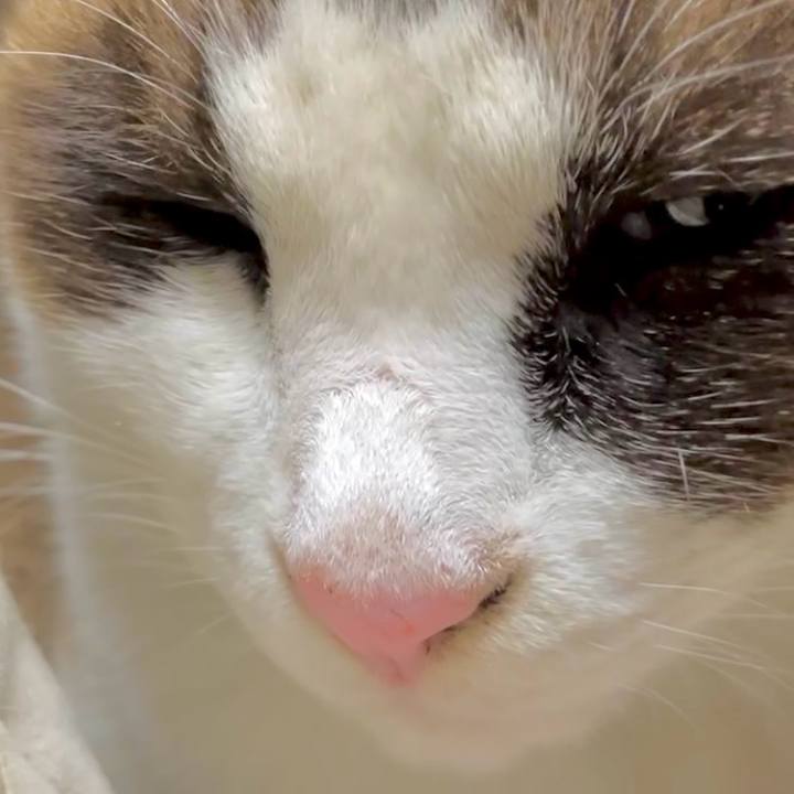 3b7d6bee 871b 487f b607 f48432c523b2 1735033122082