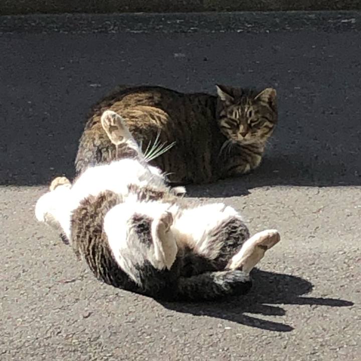 3b7d7f9a f232 4e50 b382 22d3c2e5c591 1548327220553