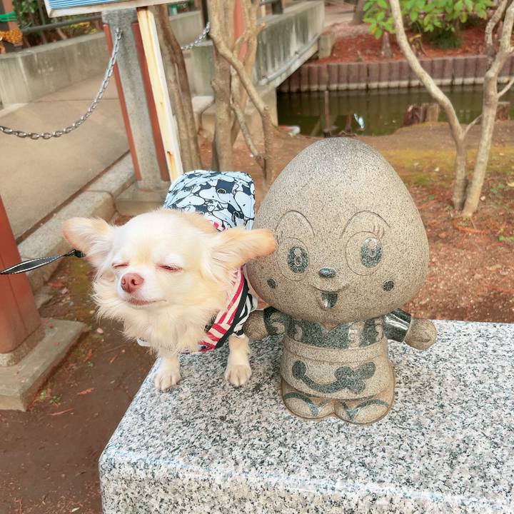 3b7d9d35 8c97 4a74 8535 c9e2612f3ebd 1700736291028