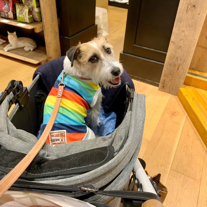 3b7dad58 25a0 4ab6 b189 a02af35ea4ec 1683121724072