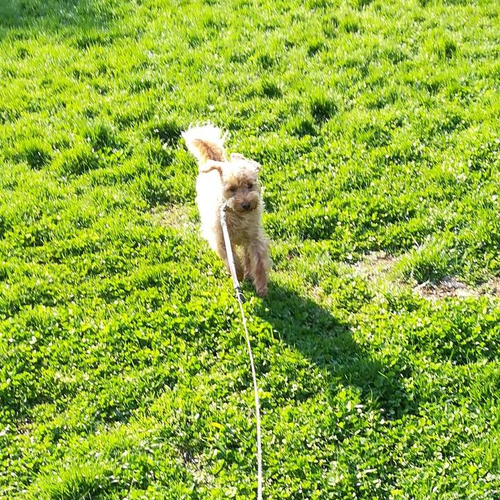 3b7dc175 1fe7 4efb 9540 d557dce0d81c 1526854151913