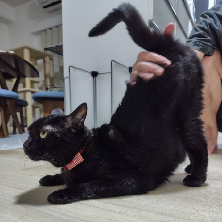 3b7de2f9 dfb3 4362 a110 4b7f5772ebf3 1719754111971