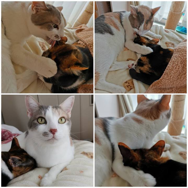 3b7e0658 2daa 4a53 9c32 caaa20721449 1619597879511