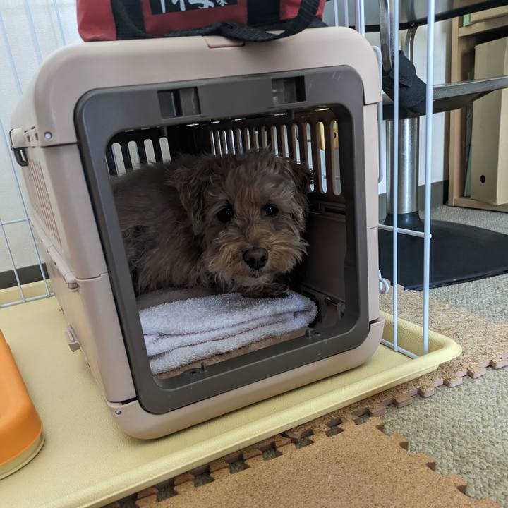 3b7e0865 4085 4a10 ae02 d06f9bdad99a 1711324958677