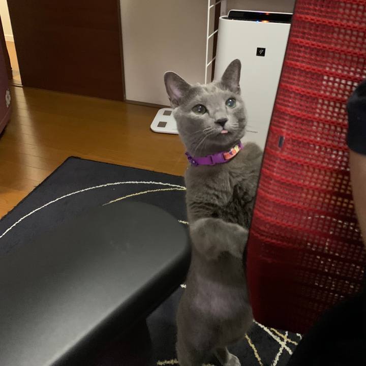 3b7e1143 b2ca 4e4c 89f4 4da648b5c4eb 1631536512235