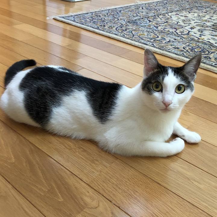 3b7e1c70 59e1 414b b25c 11eea7597bae 1627695578333