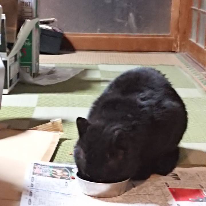 3b7e3ca1 6657 4b88 9583 02268ec454d9 1614763976250