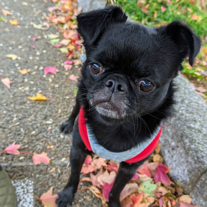 3b7e84c4 9e23 420a 8318 48a8ba12bc8c 1763035031533