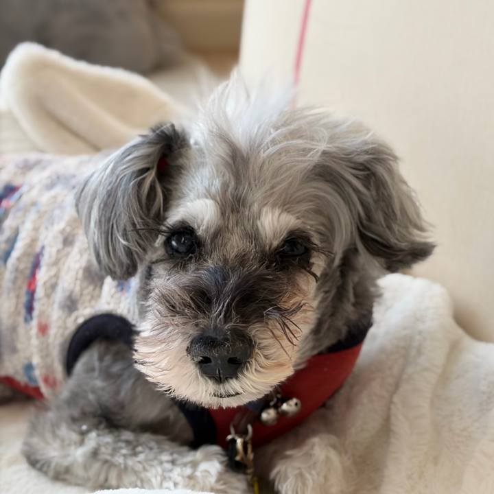 3b7eb3d7 2a4c 41d4 b1cd a59efb952314 1770271160500