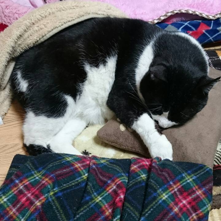 3b7ed81c fe53 4838 b621 8ec83cc3640a 1521606614016