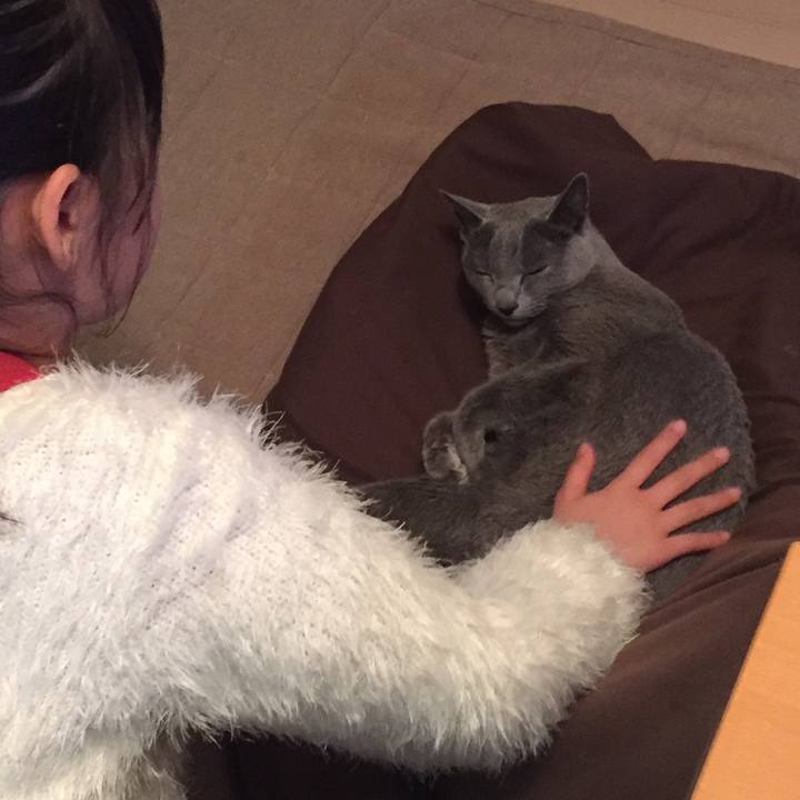 3b7ef60f 1235 4be4 bc71 e5701b99a71e 1554939130866