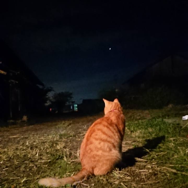 3b7f092e 6d01 427d aa93 c35bd053027e 1601893933702