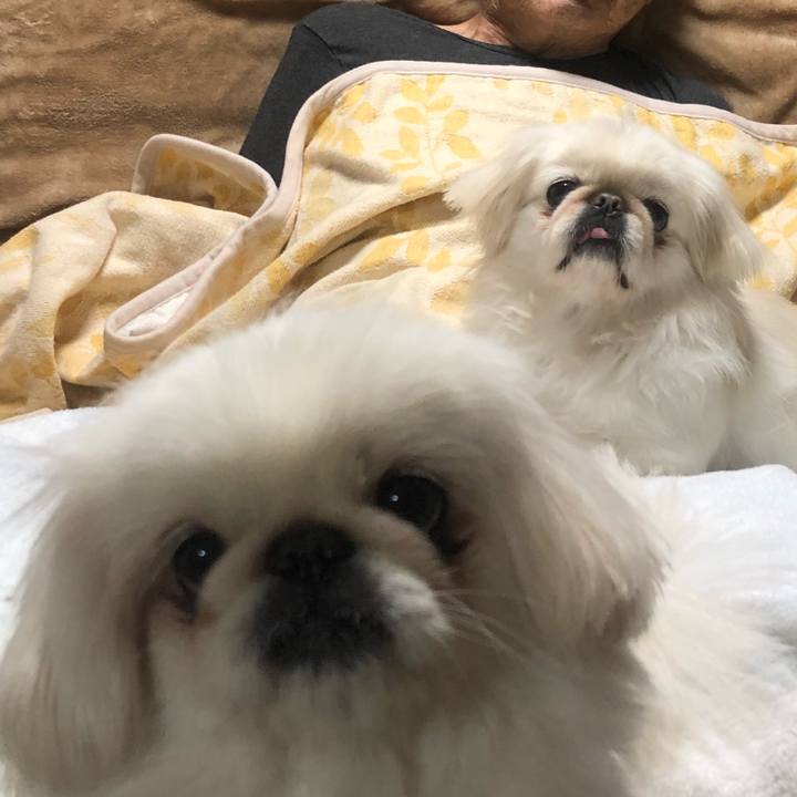 3b7f255f 4852 4ccf 8700 dc99f33ed700 1546596925178