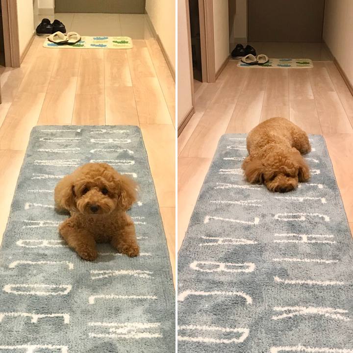 3b7f3726 d0cd 4697 96be e8e14c033989 1537787364027