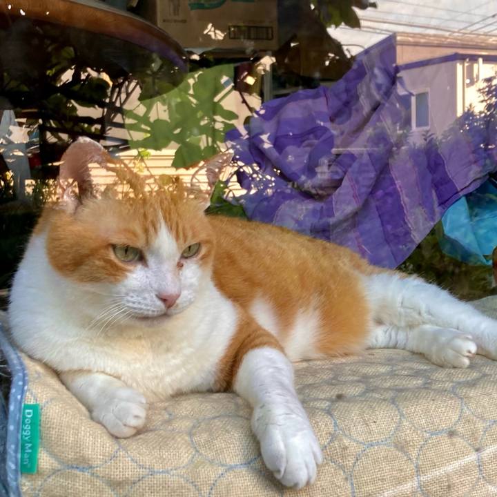 3b7f604b 90df 43ad 8507 78deeba284ee 1656558143655