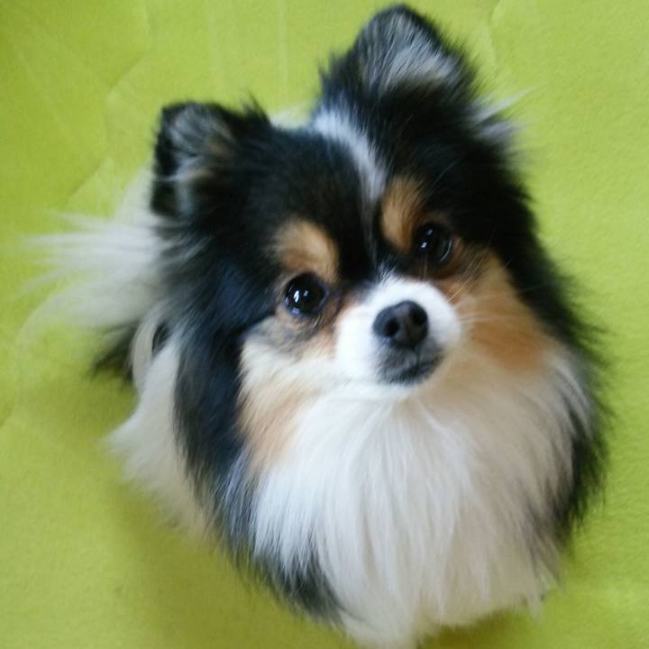 3b7f7c7d 750d 455a 842c 9e9df4dcc711 1520119970196