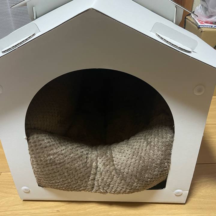 3b7f7ea9 42a0 4cf1 921c 55c61f1aa048 1704184758027