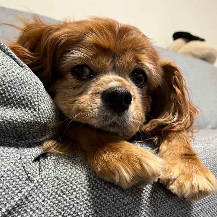 3b7fbef3 710d 4617 885a 655ec521fbdd 1758613640446