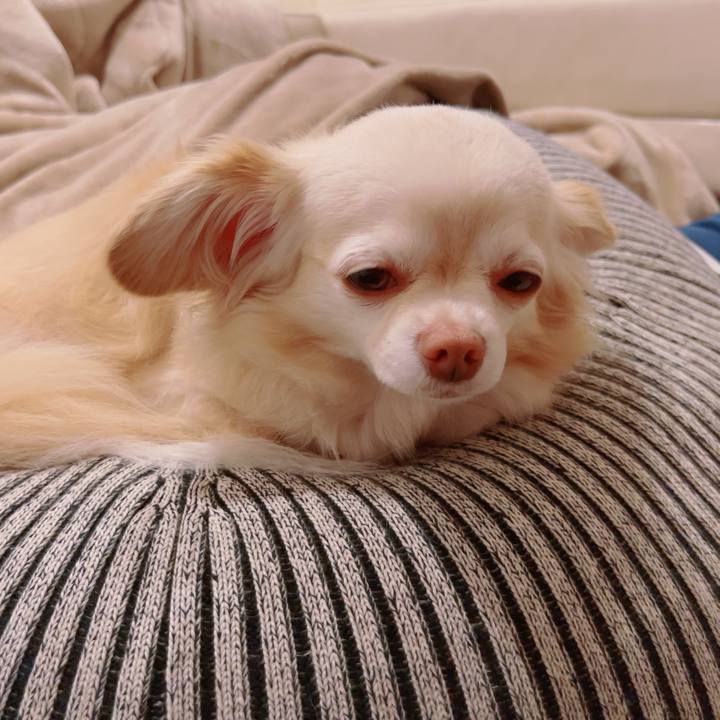 3b7fd8d6 ed39 4ff7 ad12 b35817e84fa5 1751203134781