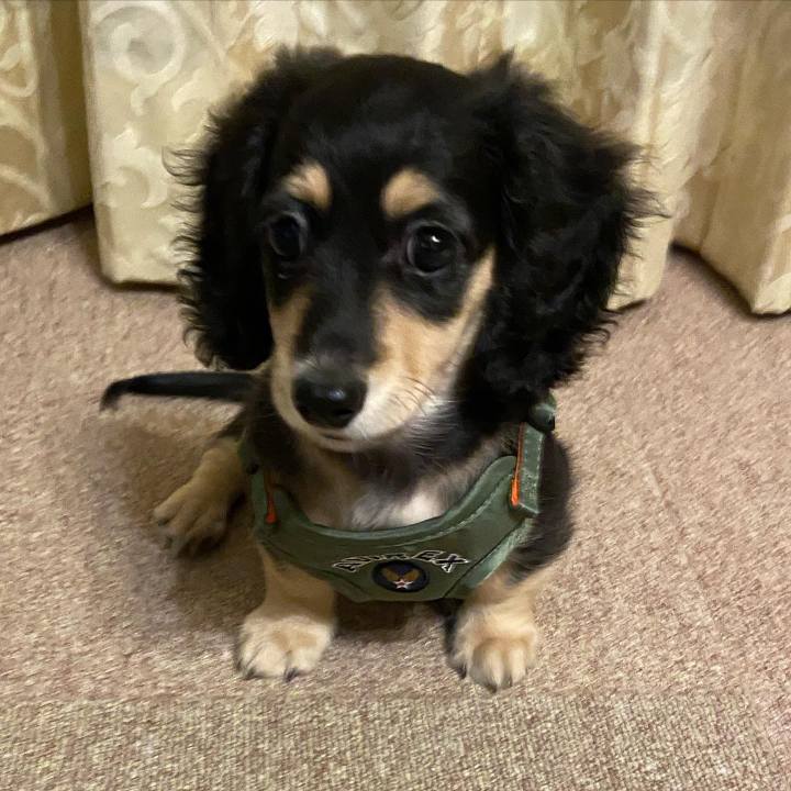 3b8032b7 d515 4717 8a42 e4406d54703b 1665598055882