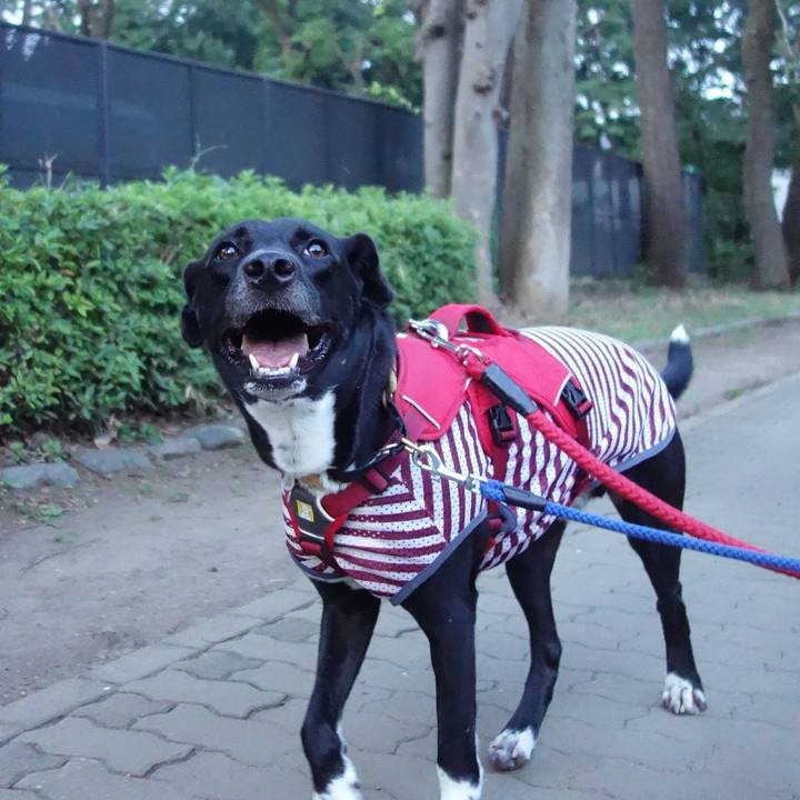 3b80646c 394a 4446 889c a07ee071979f 1596710656175