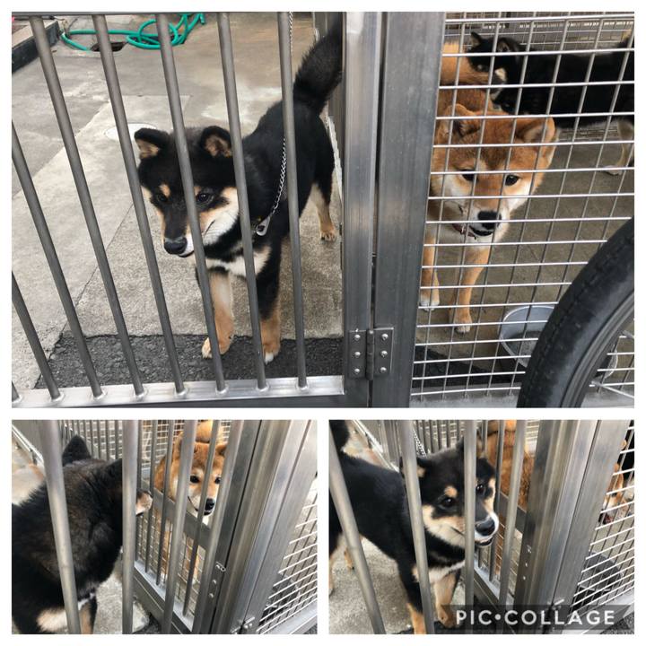 3b808cbc 8081 4dd6 9a99 8f74b3d39d8e 1558859133410