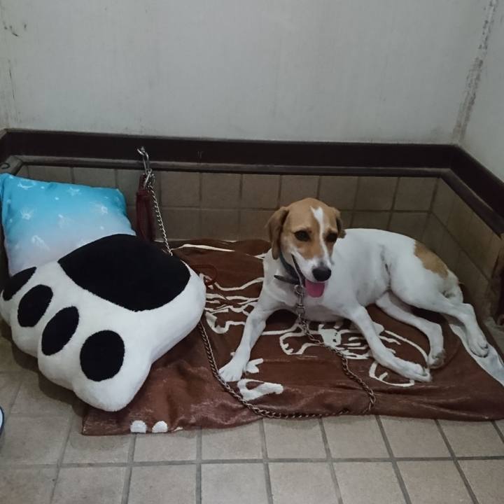 3b80ac17 a3e0 4709 a05f ff132cbd1c0e 1564142364739