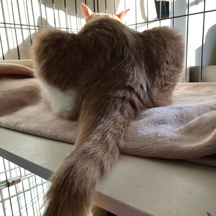 3b80d199 703c 40f8 a46c 436be378e0a7 1607555725197