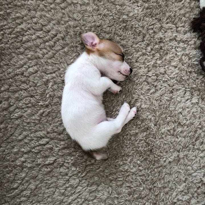 3b8133dd c5e8 4378 bd9d 6d84577f7fb7 1543048877903