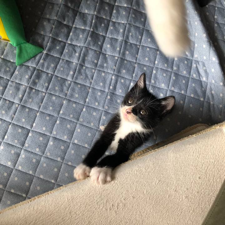 3b81855c 9ddf 42f6 abc4 6e92427870bf 1538057059699