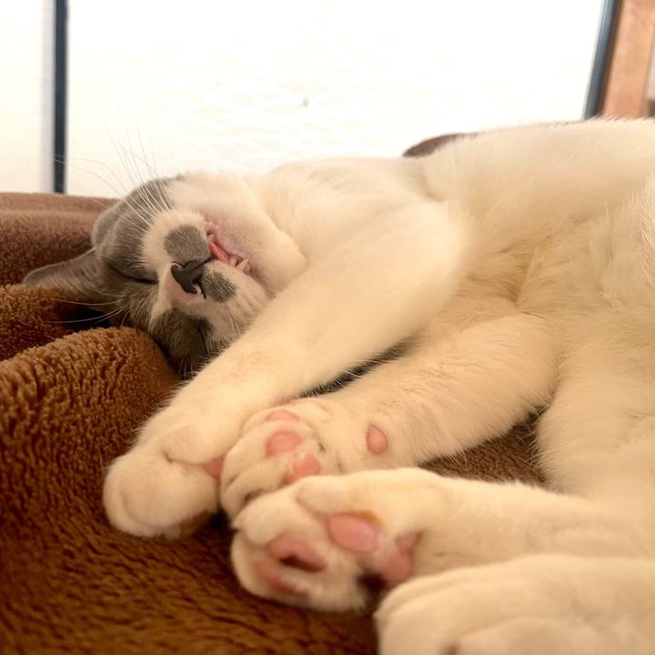 3b818999 4c66 4ac9 a8c3 b05404b12ec2 1669010858849