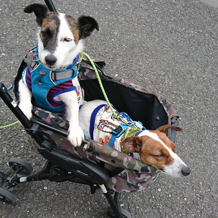 3b818e6b 2ae8 4bf3 b943 96da14c83db5 1591851903833