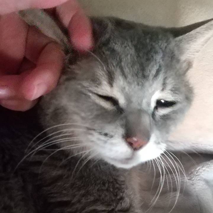 3b8192e1 5efe 40ea ad7b 2169f0e064d6 1697151887195