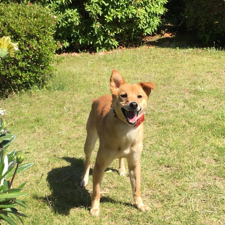 3b81a2dd dd64 404f 9cee d545a847b6ae 1525488103894