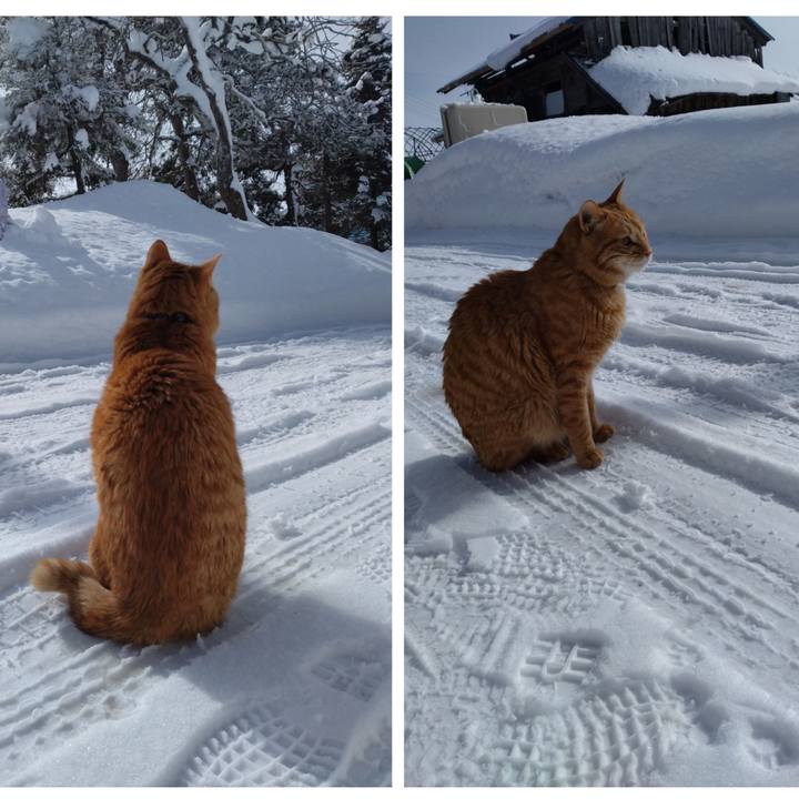 3b82150f 98fe 4ac1 b46f 2b3019131a1b 1675047968002