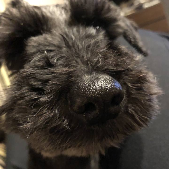 3b822930 7050 4fcb aff7 20eb2475923b 1523744978608