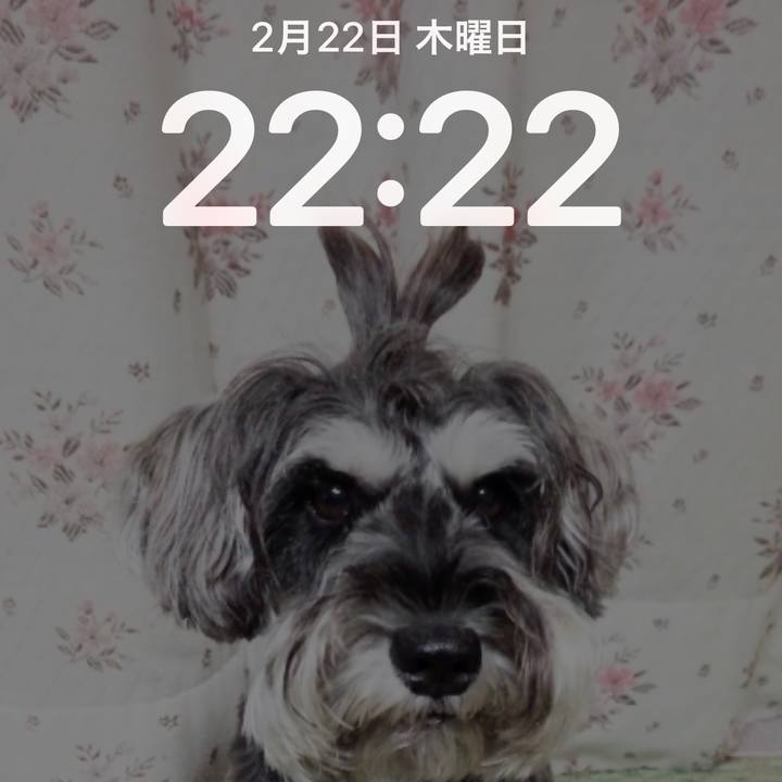 3b8259d4 b4aa 415d a6b0 1bd6e4da62b4 1708608212596