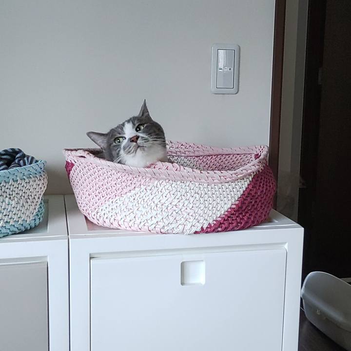 3b82744d 8501 4373 9eea 27925ca5d612 1719621357742