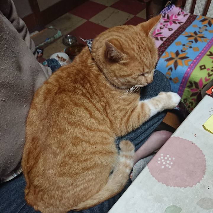 3b8289a2 33a6 4249 8a7f 937c3ba62c99 1575153220697