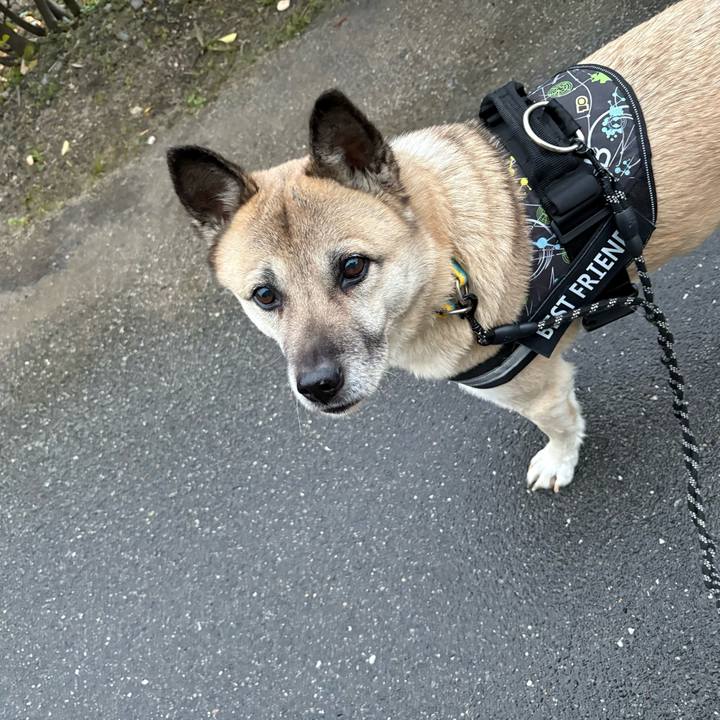 3b8289e9 a645 4c82 84b8 4d96f9bd6ff1 1740750063467