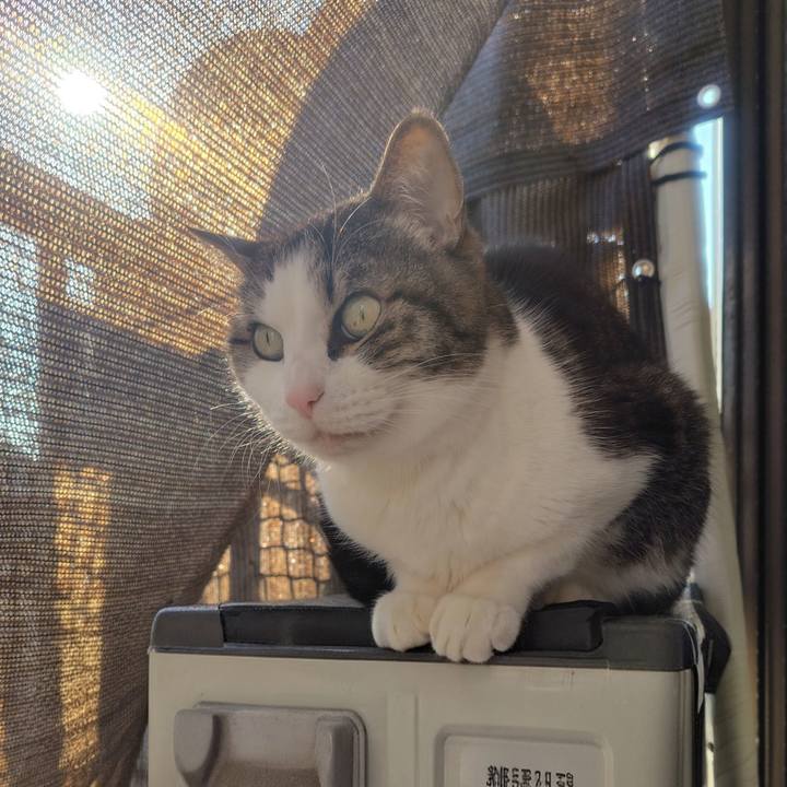 3b828c61 b4be 4847 a47a aa0f5572544a 1774076256066