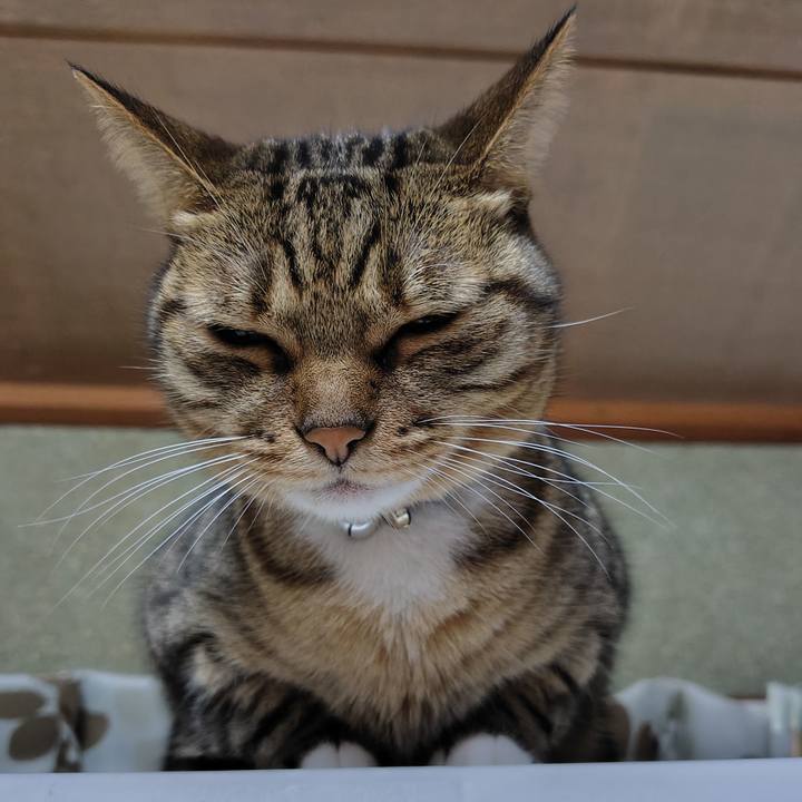 3b82dd3d f2db 46eb a88b 28d385468a86 1764731819439