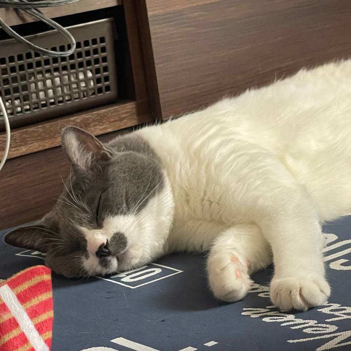 3b8305da b660 4107 a424 f7b386dccf87 1726287863560