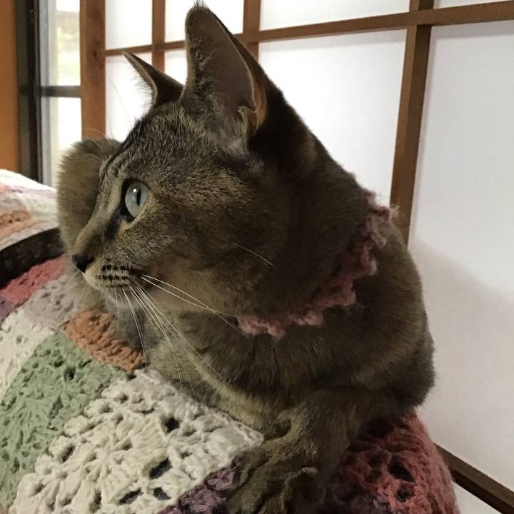 3b833a71 e162 41c3 bf65 5c50764df975 1591348634187