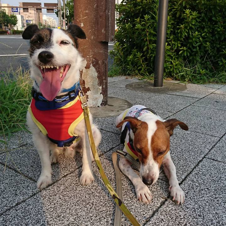 3b837dc8 1b8c 4285 8cbe 1380b01c3a9d 1566077880820